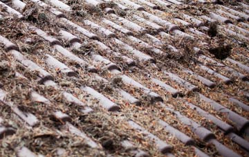 Auchleven roof cleaning companies