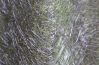 Auchleven fibreglass roof work